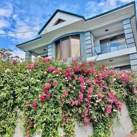 Guest House Botanical Paradise Mtsvane Konts'khi Exterior foto