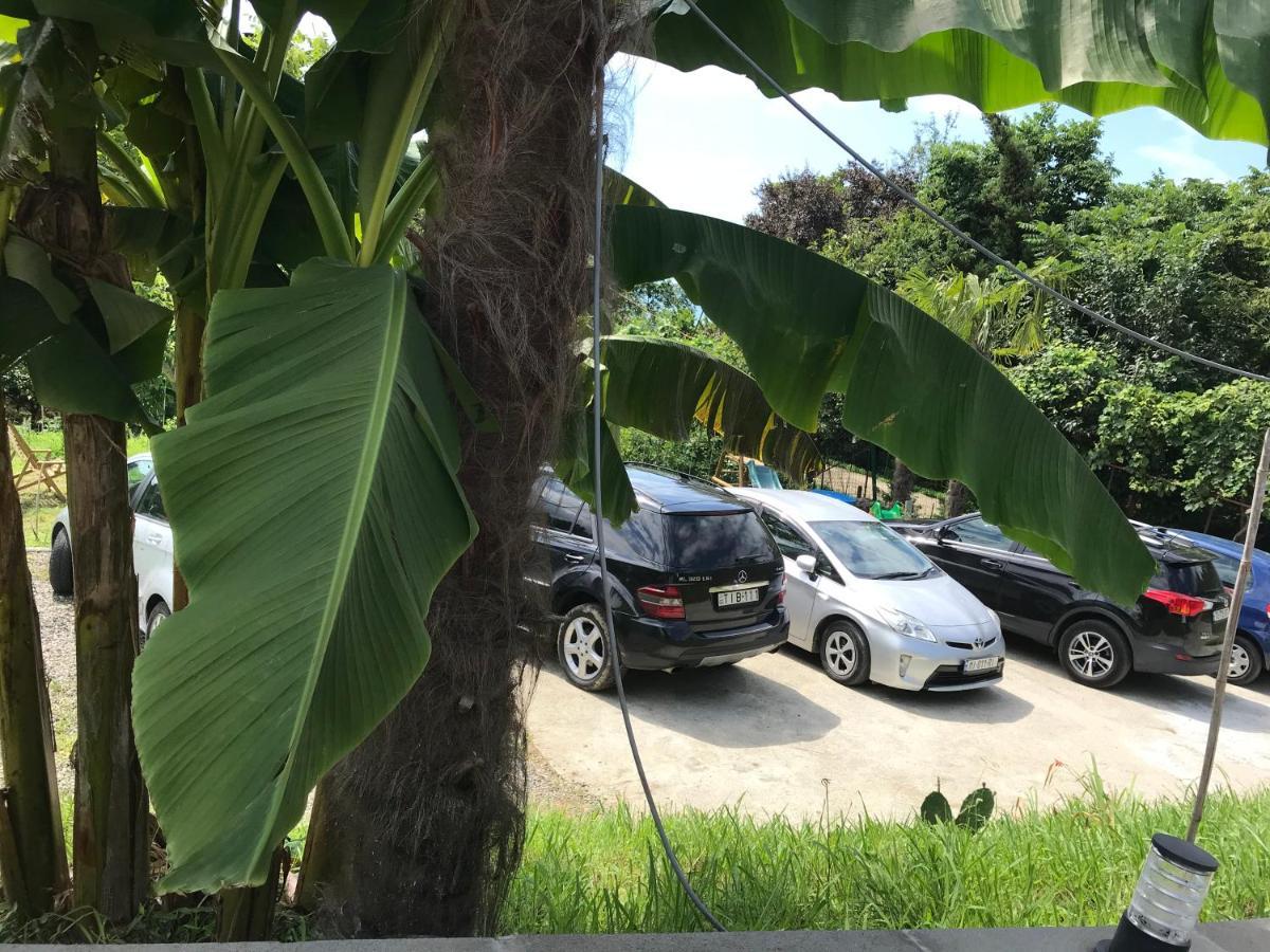 Guest House Botanical Paradise Mtsvane Konts'khi Exterior foto