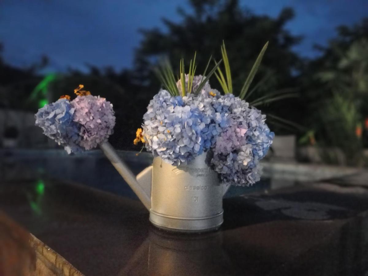Guest House Botanical Paradise Mtsvane Konts'khi Exterior foto